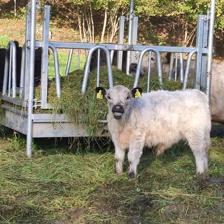 Apartma Naravni Biser