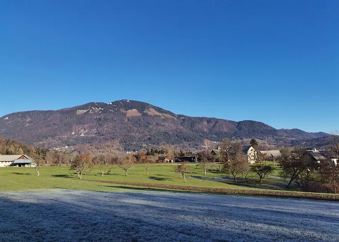 Διαμέρισμα Apartma Naravni Biser Brezje