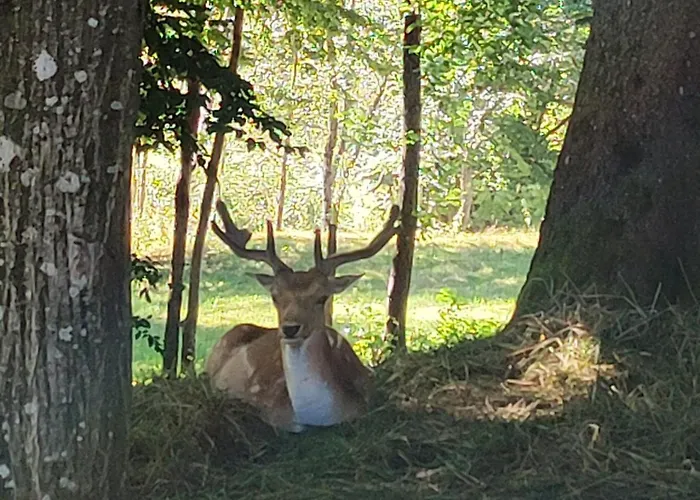 Apartma Naravni Biser *