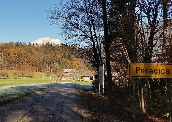 Apartma Naravni Biser * Brezje