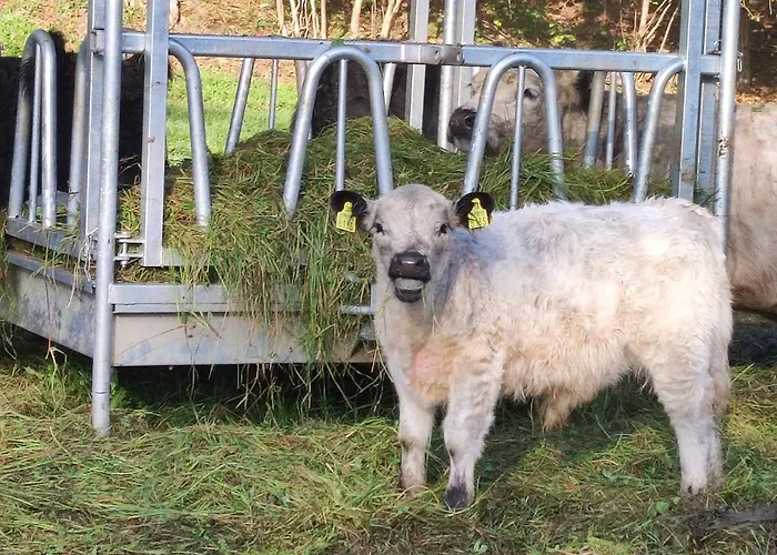 Apartma Naravni Biser