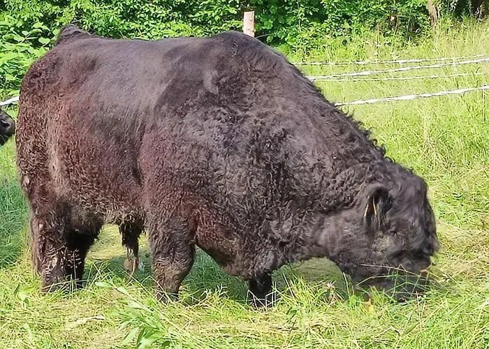 Διαμέρισμα Apartma Naravni Biser *